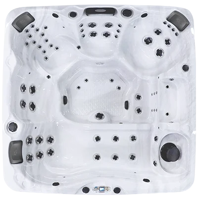 Avalon EC-867L hot tubs for sale in Bowie